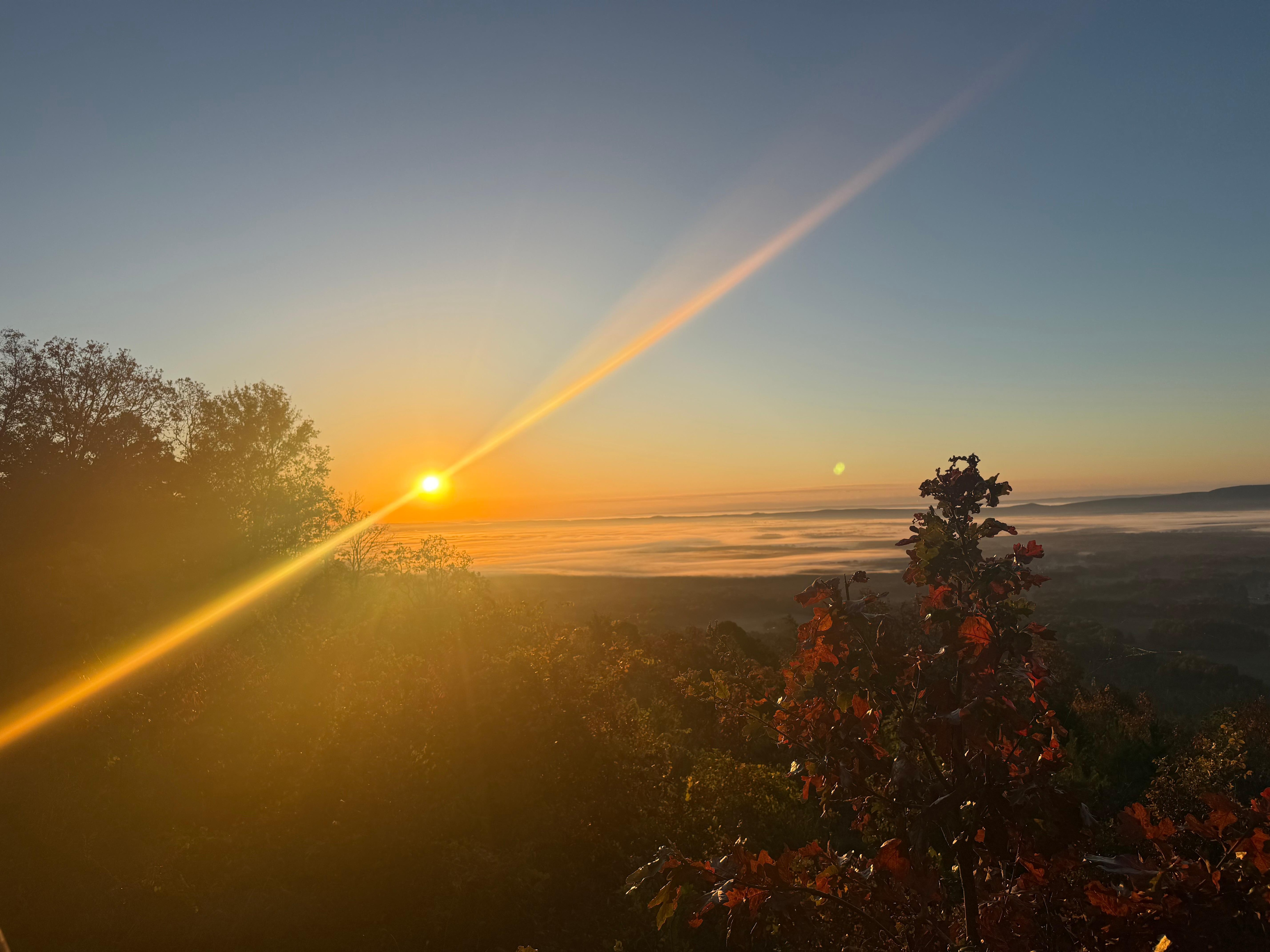 Morning view from the deck.  