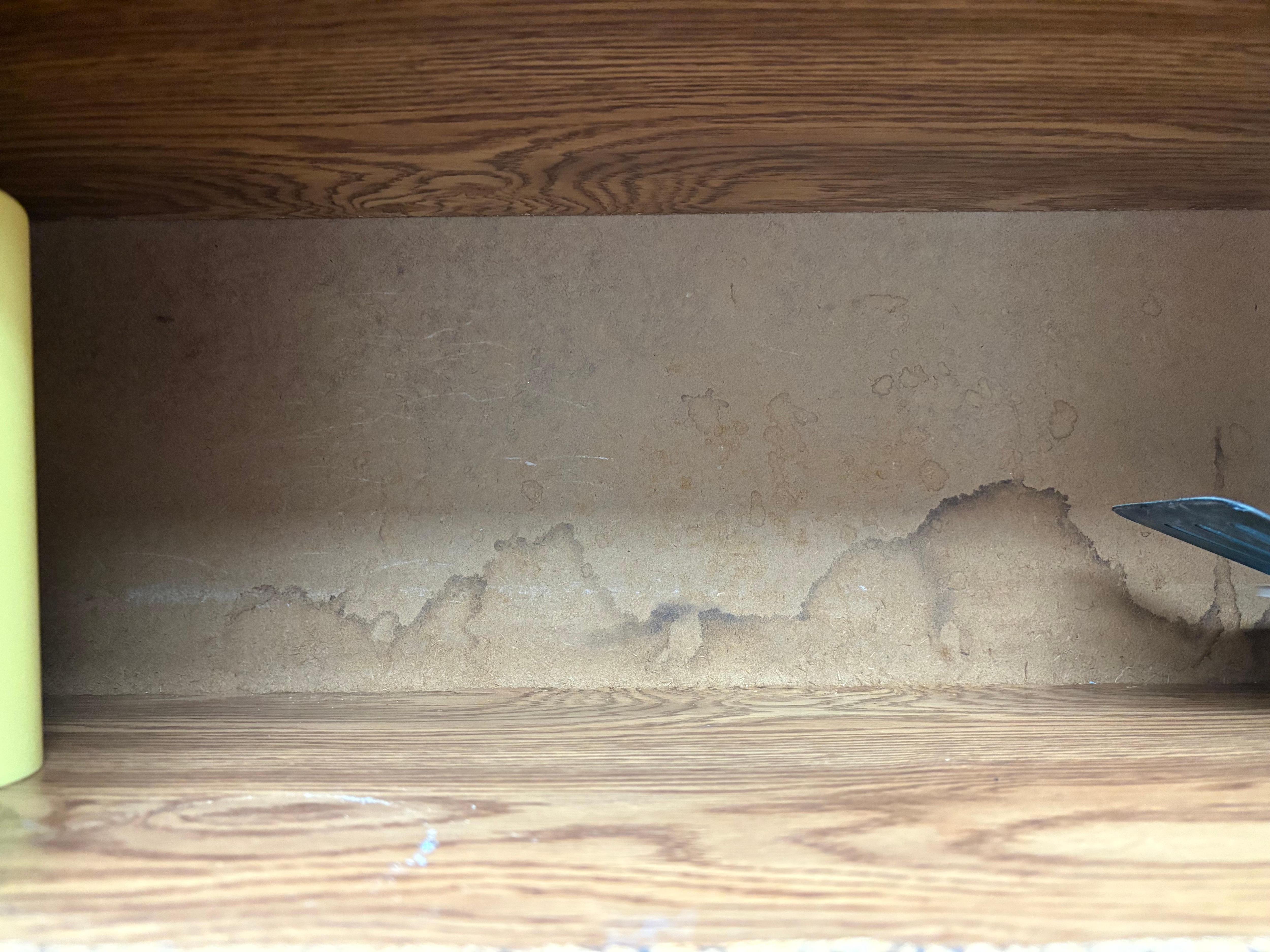 Mold and water damage in cabinets 