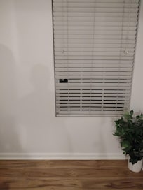 Damaged blind