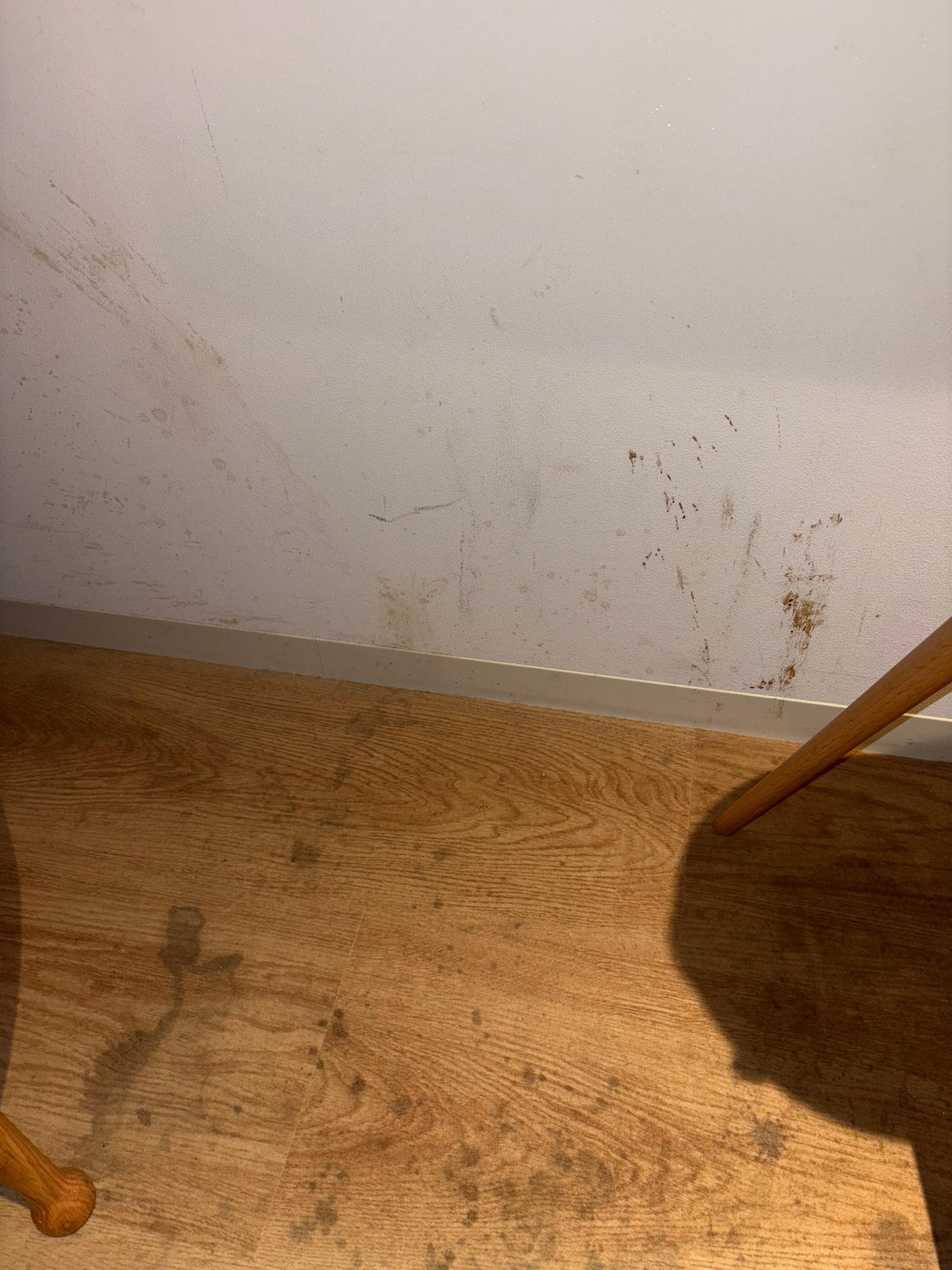 This is what we saw as soo. As we showed up… 