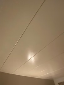 Mold in the lines of the ceiling