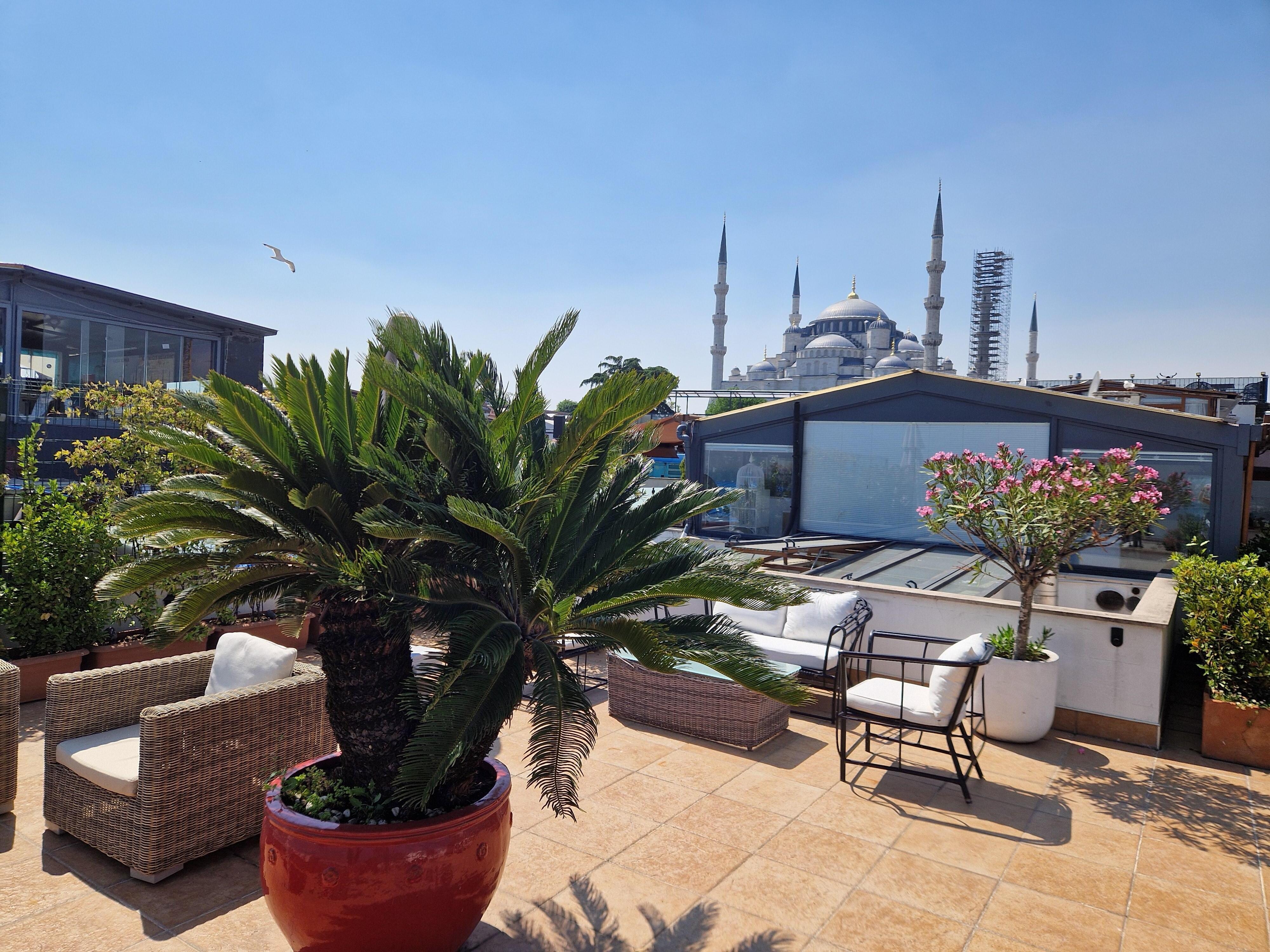 Roof terrace view of Blue Mosque in other direction