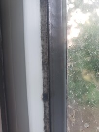 Black mold on the window frames