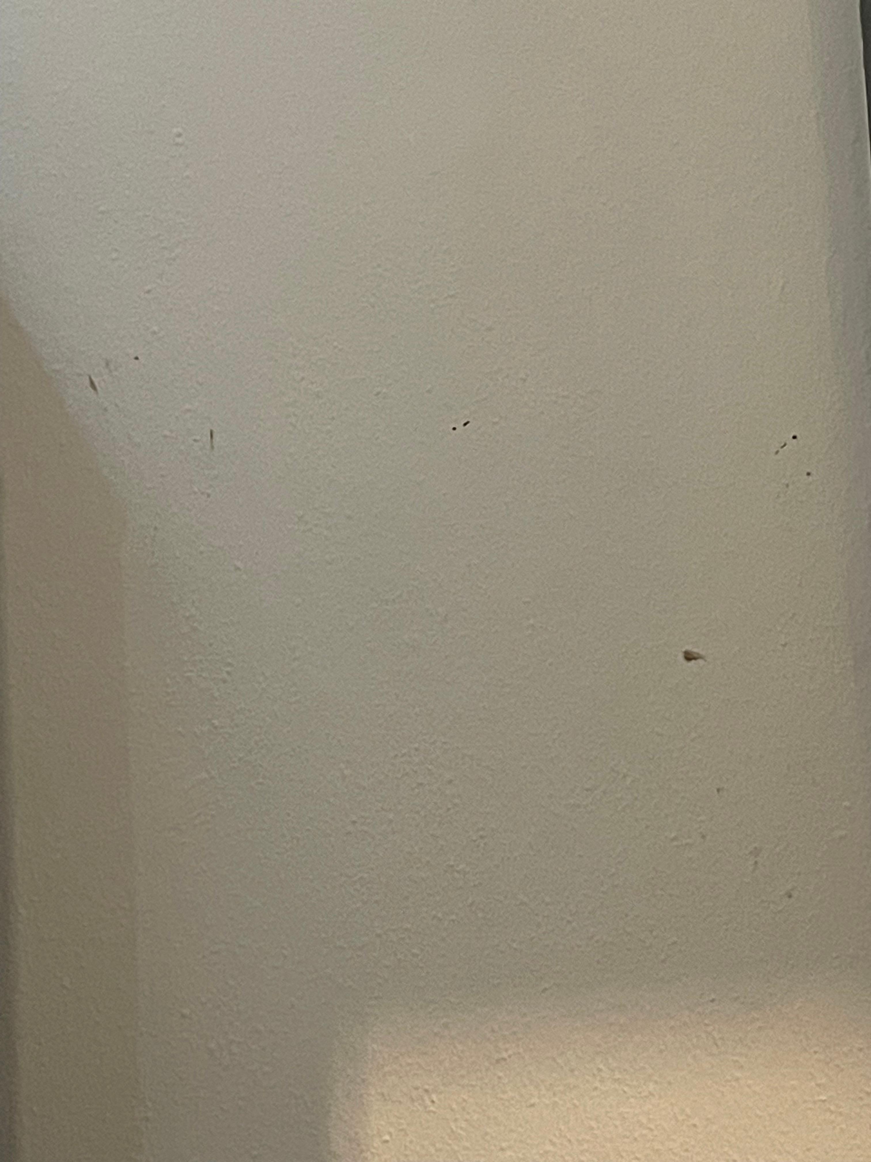 Stains on walls