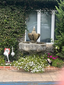 The grounds