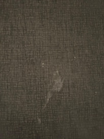 Semen all over the couch