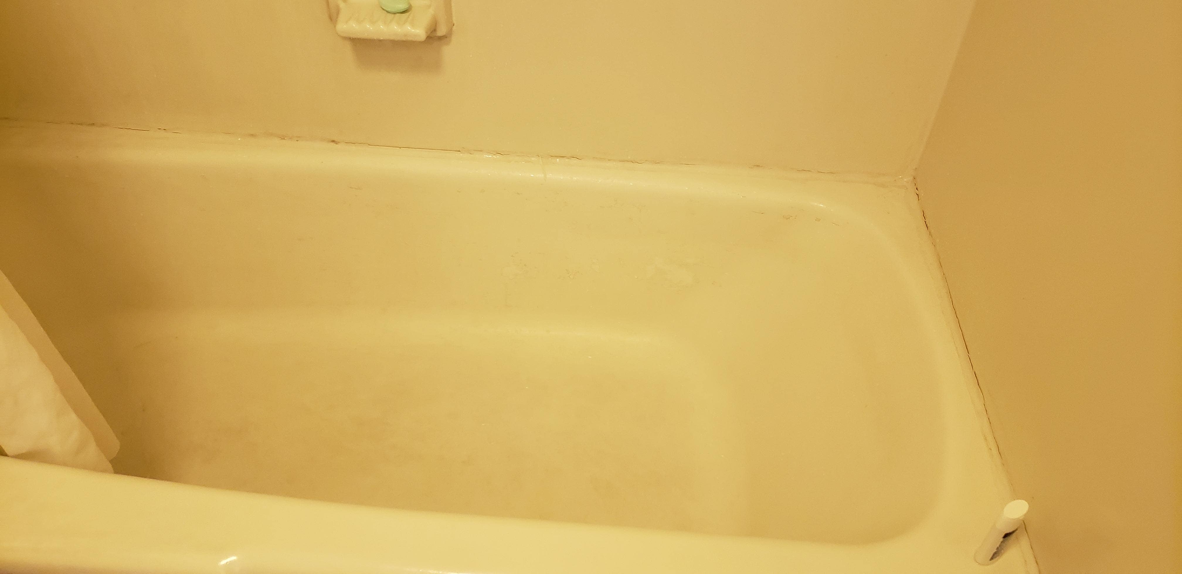 You can't see the ring of dirt or the bottom of the tub, it black. Awful lighting!