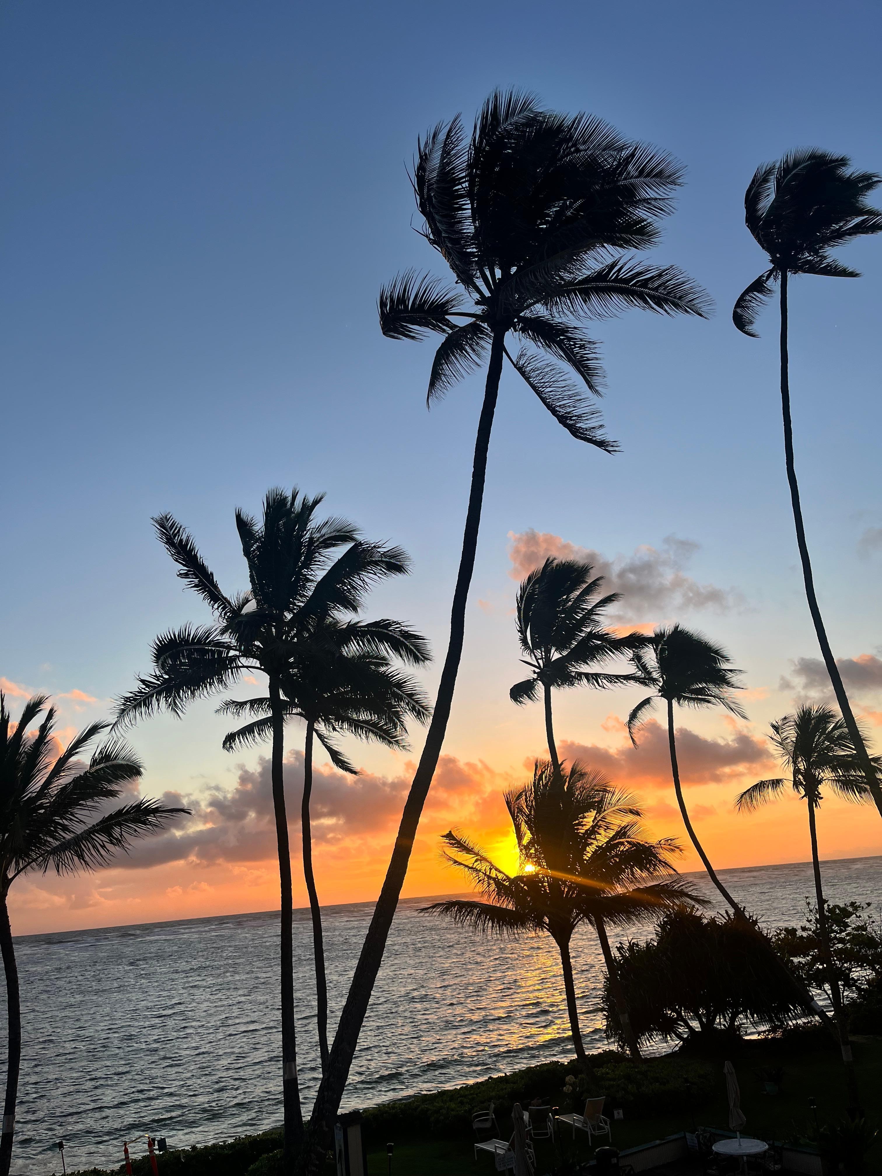 Sunrise from room patio. 