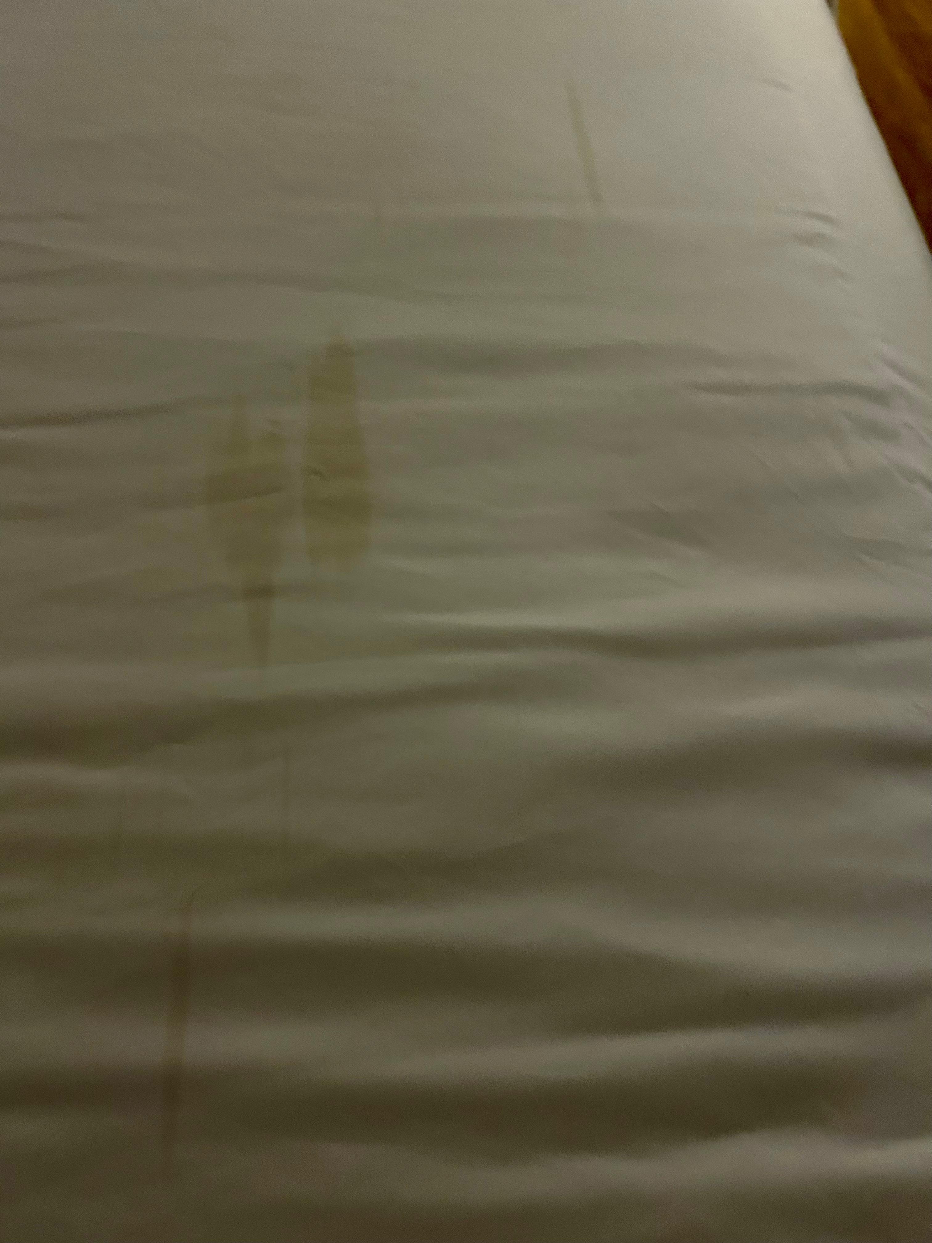 stained sheets
