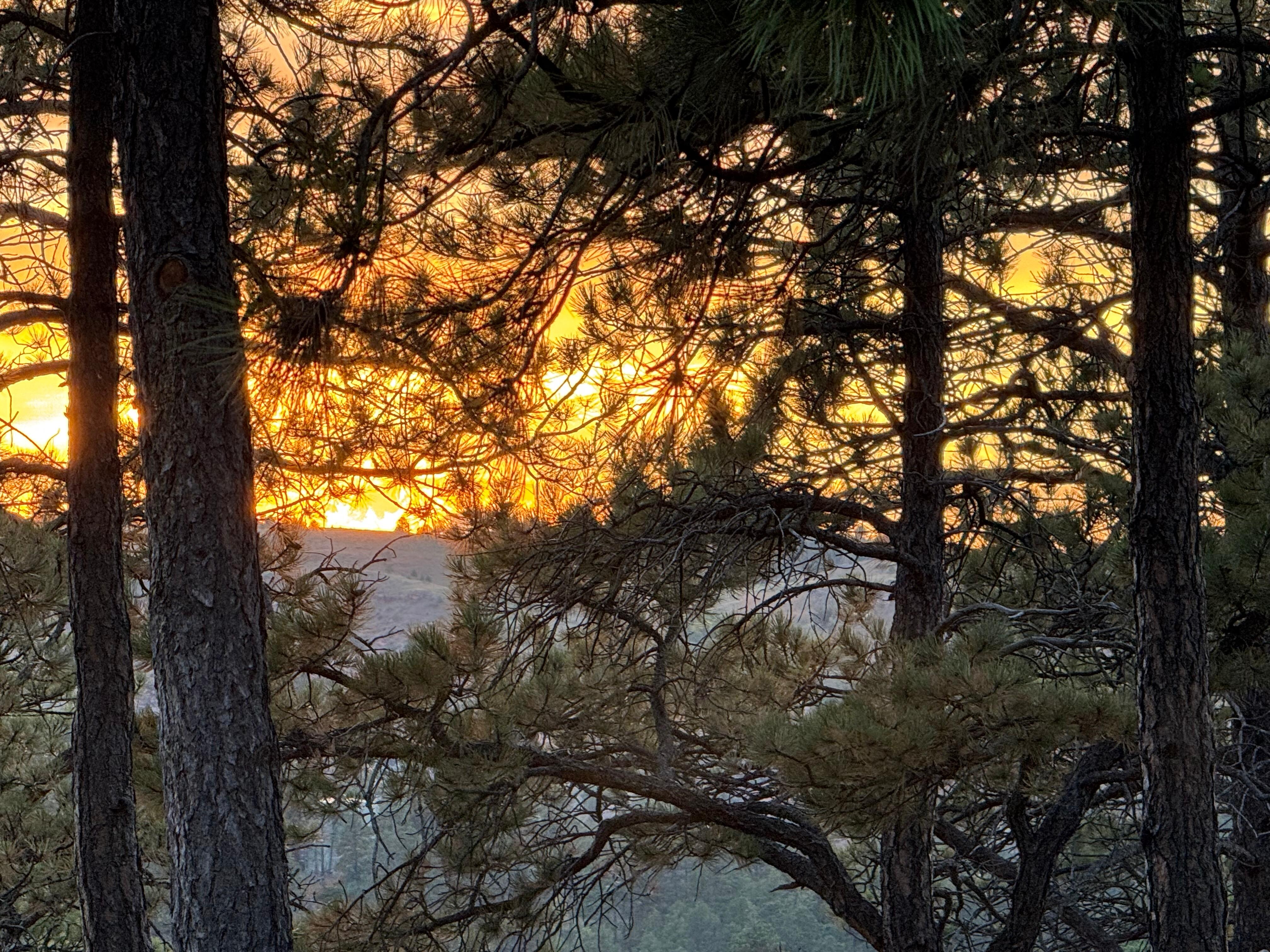 Sunset looking from clifftop back yard.