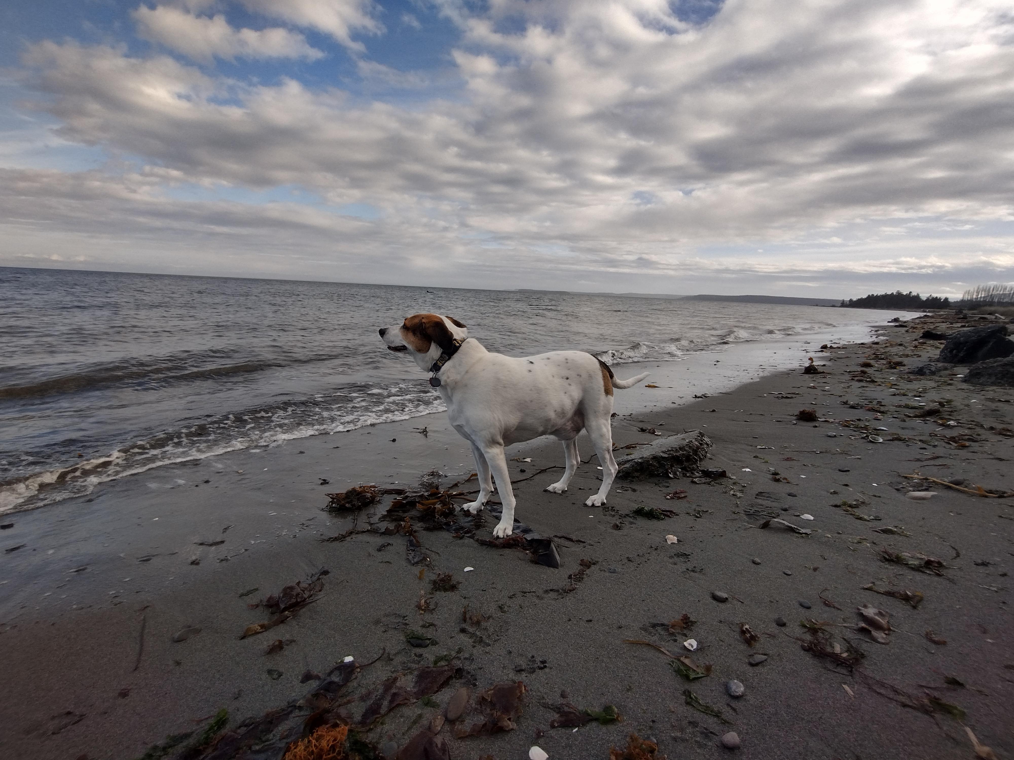 At Jamestown Beach with Folsom 