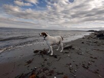 At Jamestown Beach with Folsom