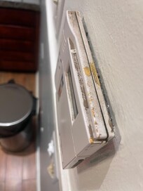 Near the backdoor