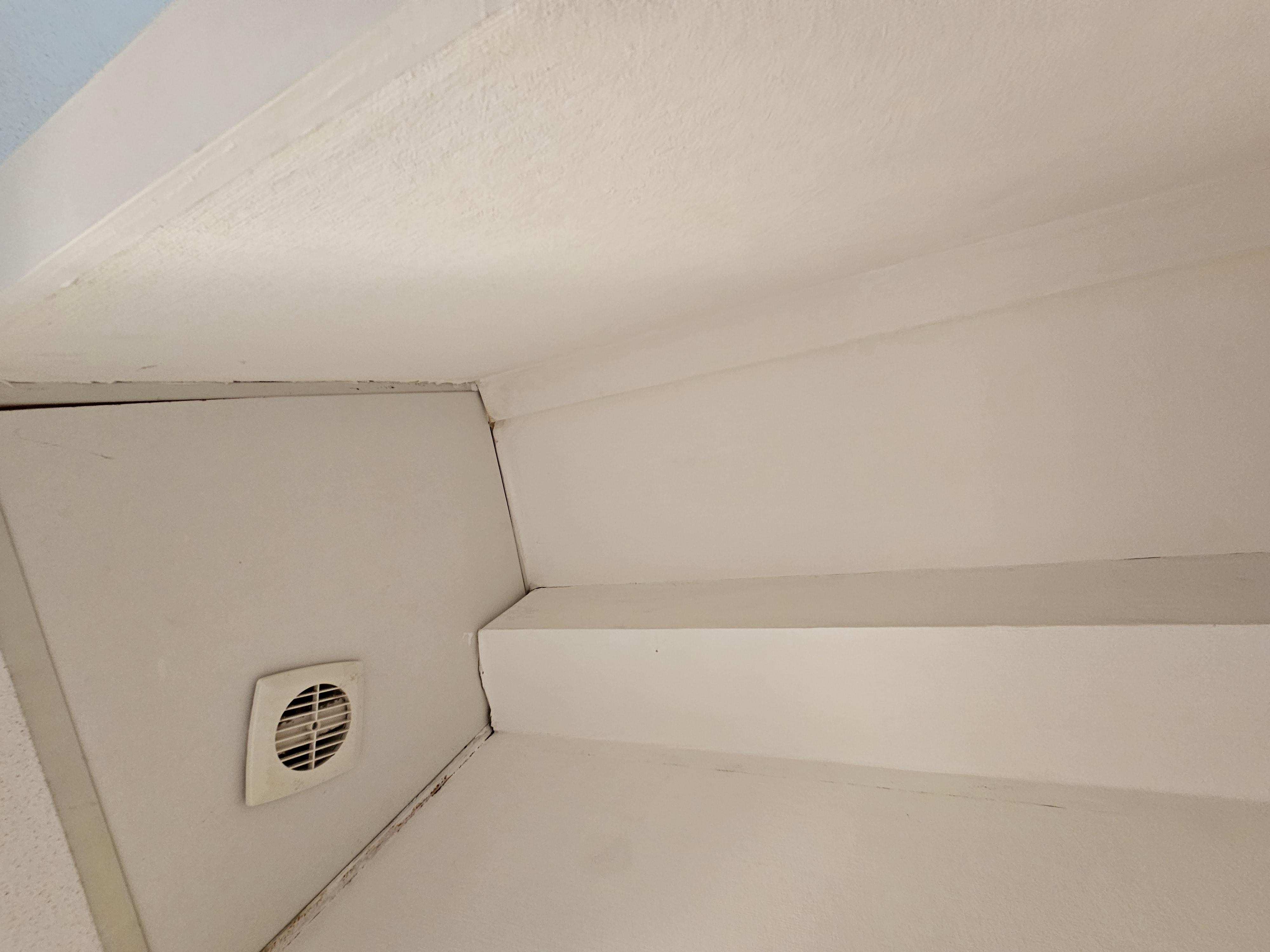 Moisissures diverses et vous n’avez pas le ressenti, cela ressemble à un gag 