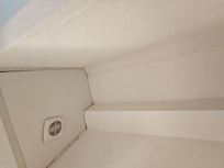 Moisissures diverses et vous n’avez pas le ressenti, cela ressemble à un gag