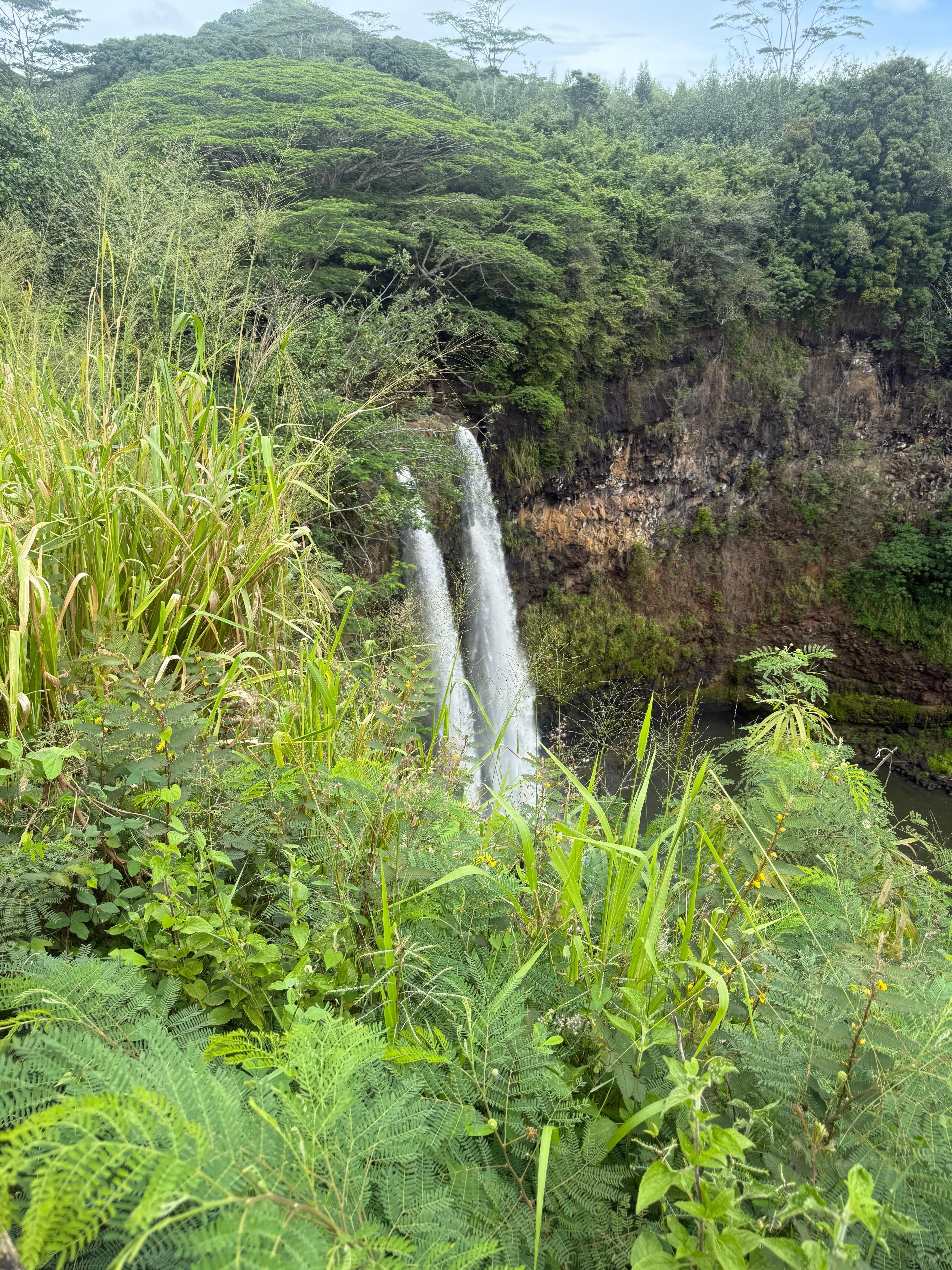 Beautiful drive to the waterfalls 