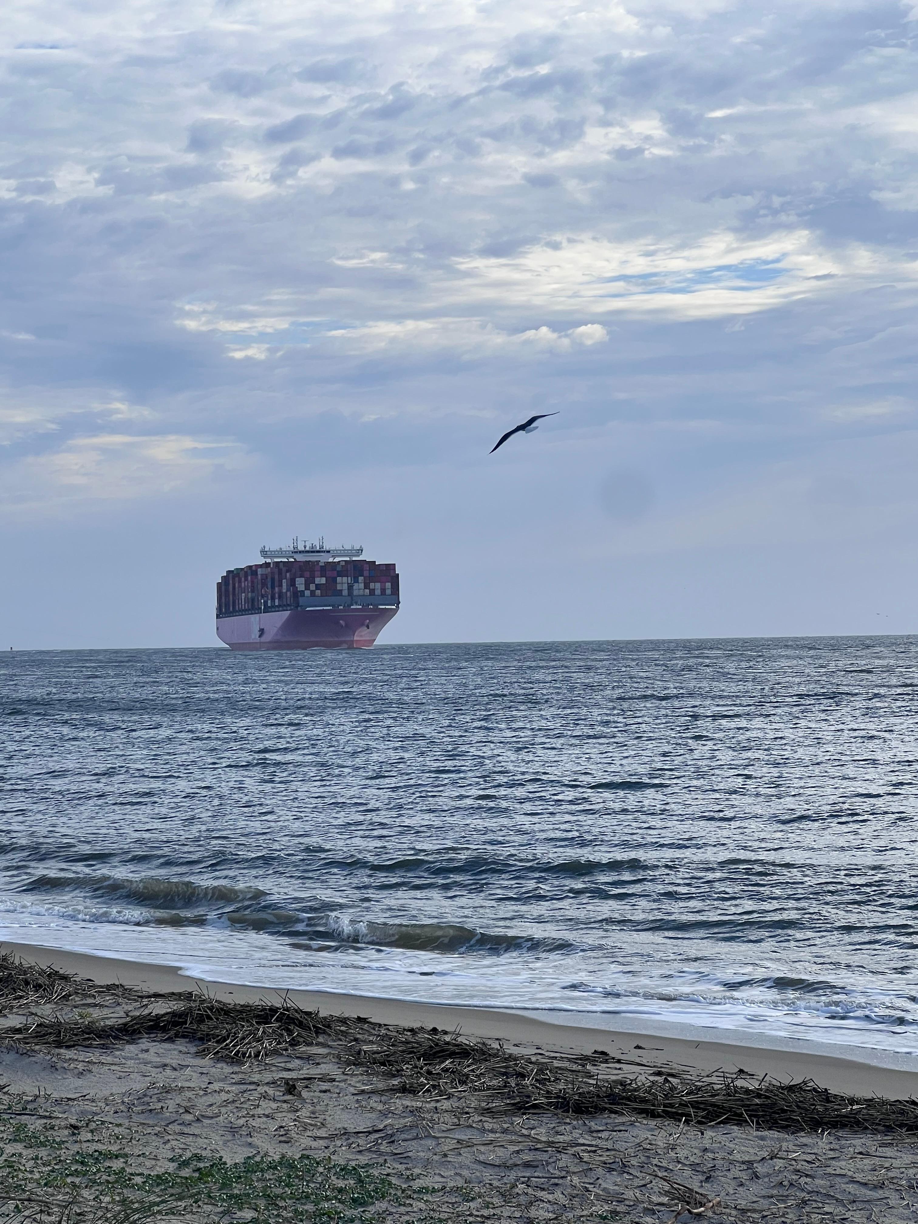 Cargo ships throughout the stay