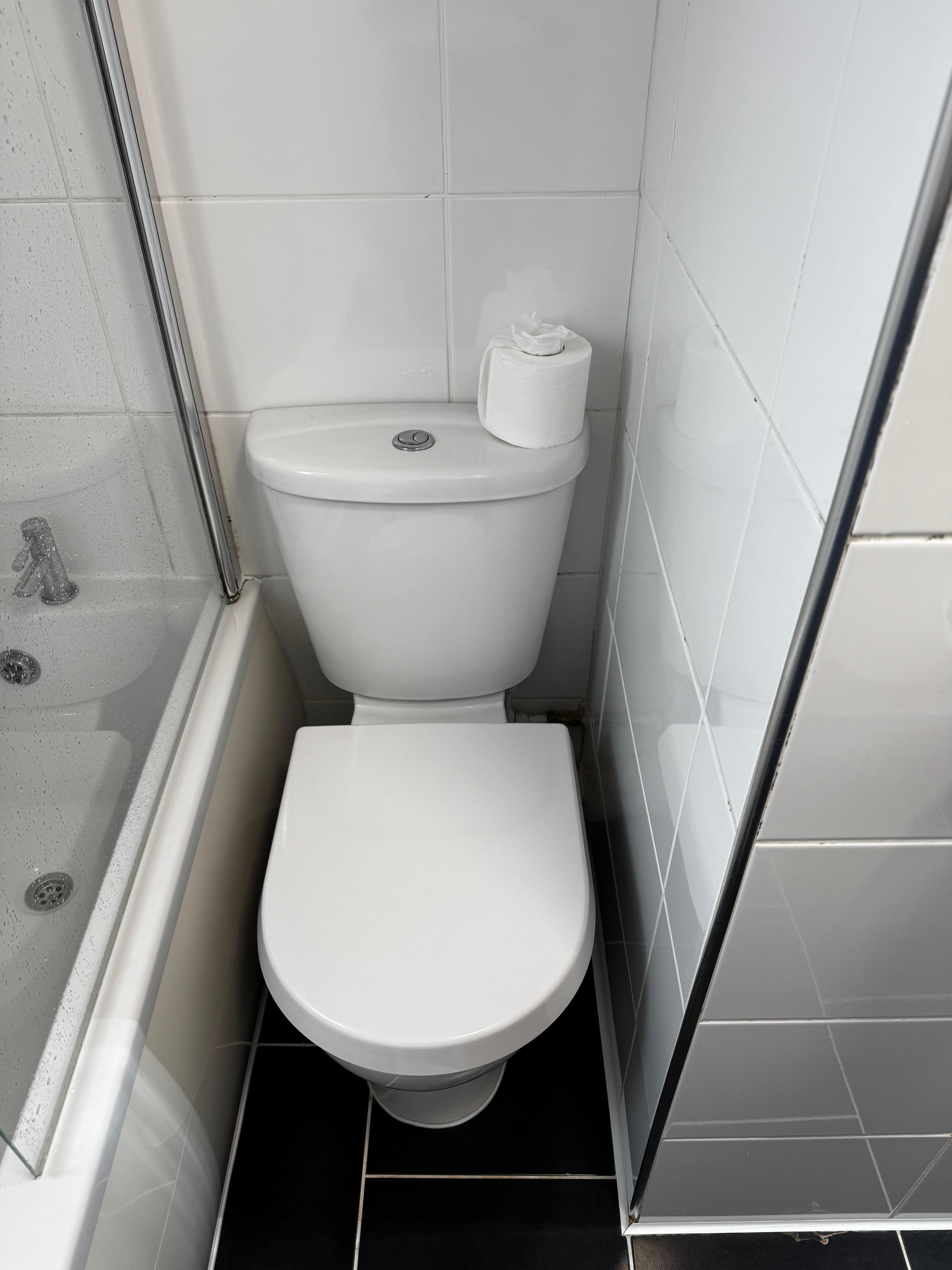 Badly positioned toilet - limited space 