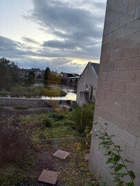 View from garden
