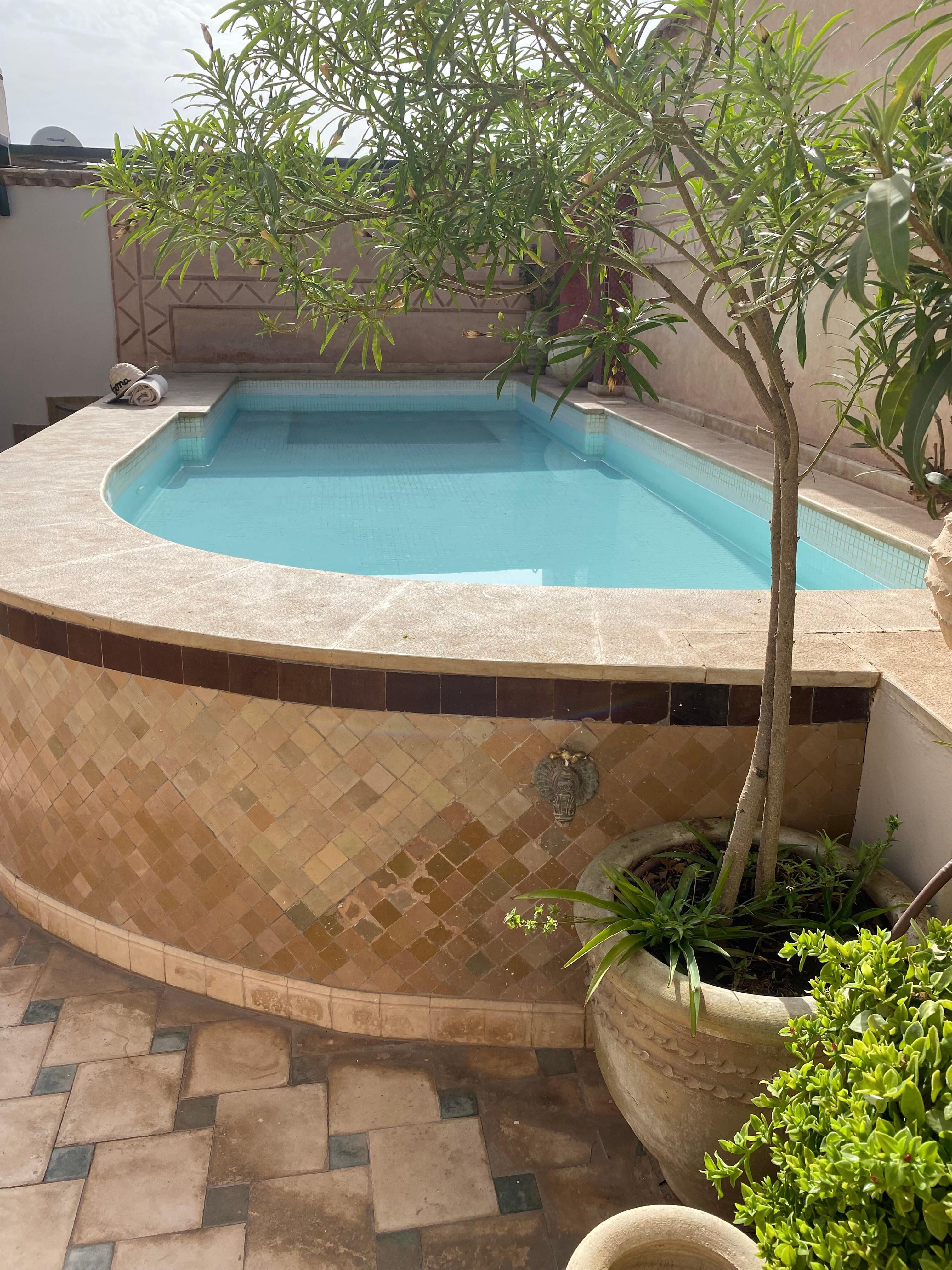 The rooftop pool. 