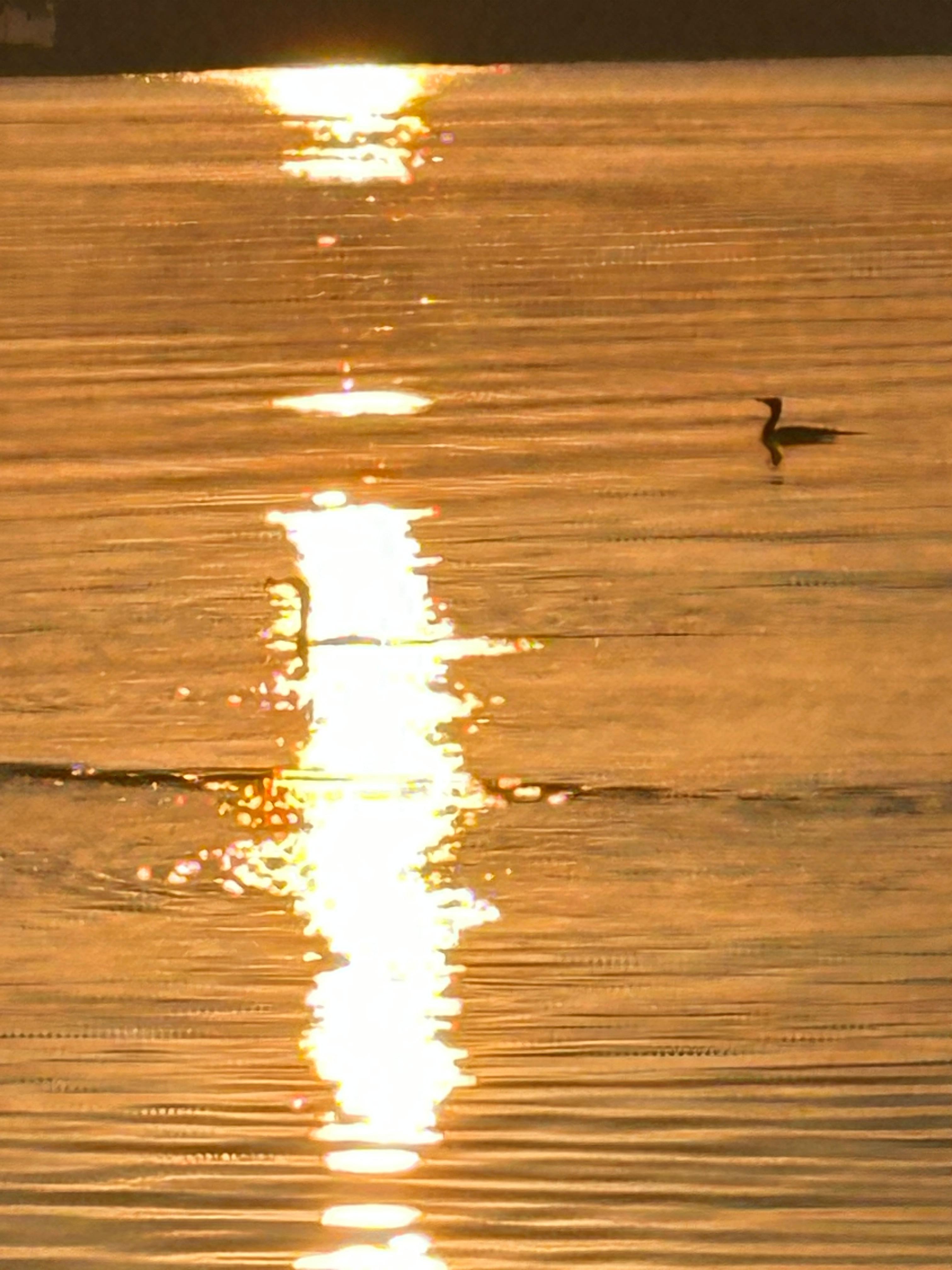 Unbeatable morning sunrise