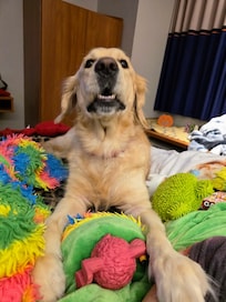 Even my dog loved it here!!