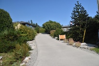 Driveway leading up to our cottage on the right. Very private.