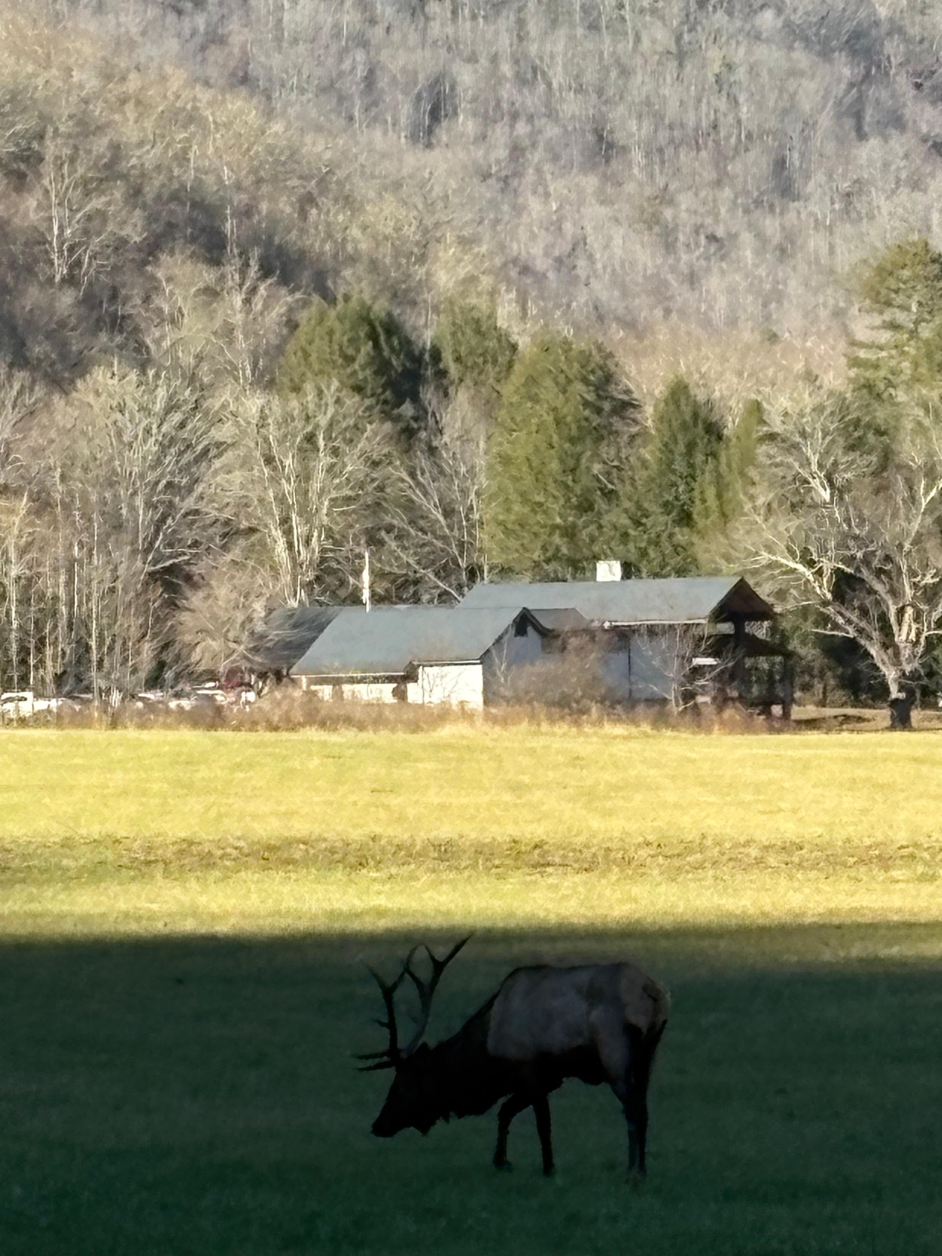 Okonaluftee Village 30 minutes away