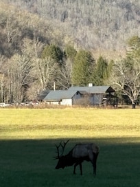 Okonaluftee Village 30 minutes away