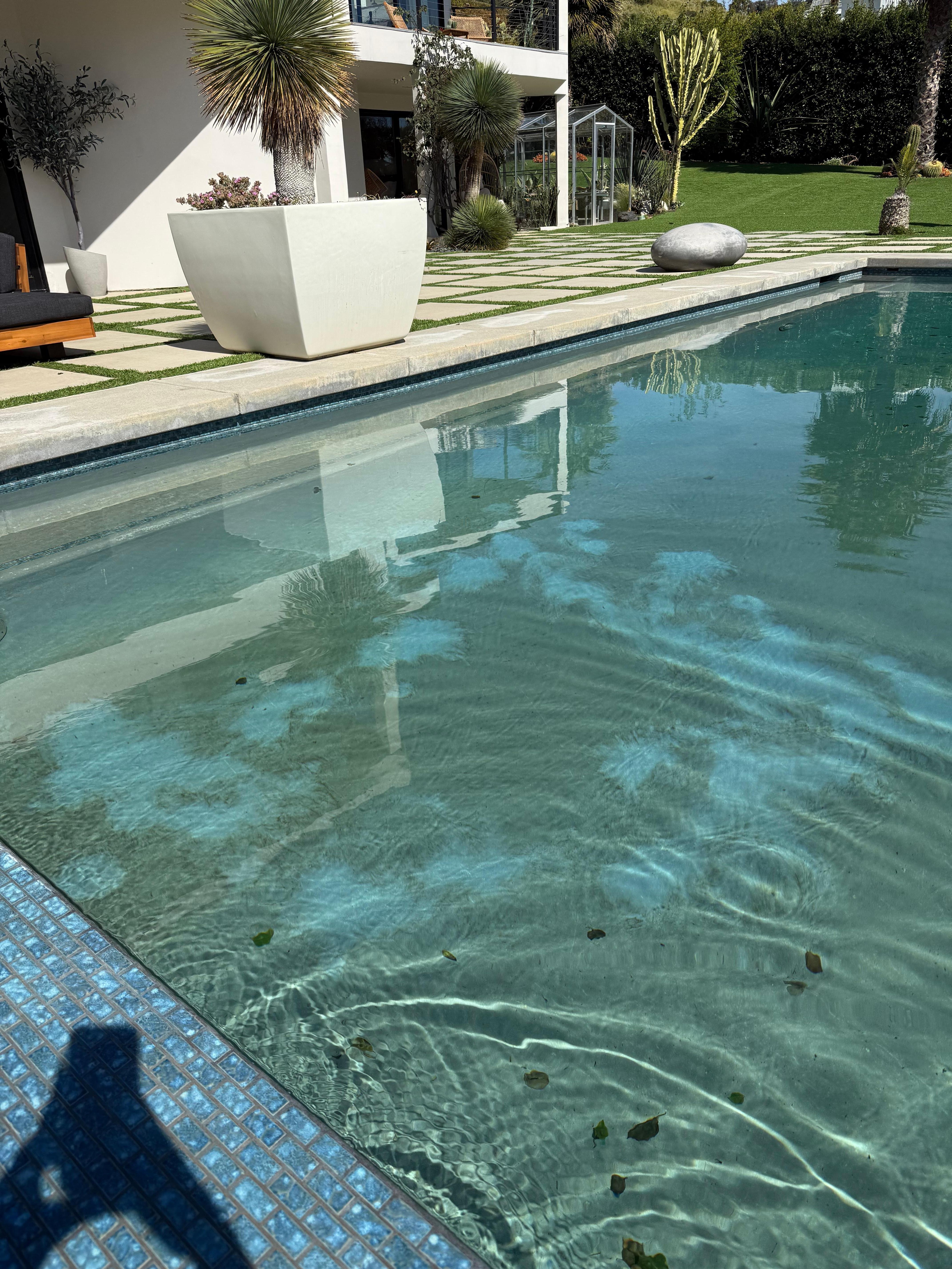 Pool condition upon arrival. Visible debris and algae residue were present along the pool floor, making the water appear unclear and unsuitable for use.
