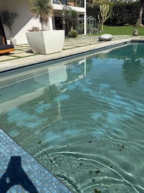 Pool condition upon arrival. Visible debris and algae residue were present along the pool floor, making the water appear unclear and unsuitable for use.