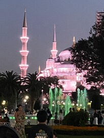 Blue mosque at night !