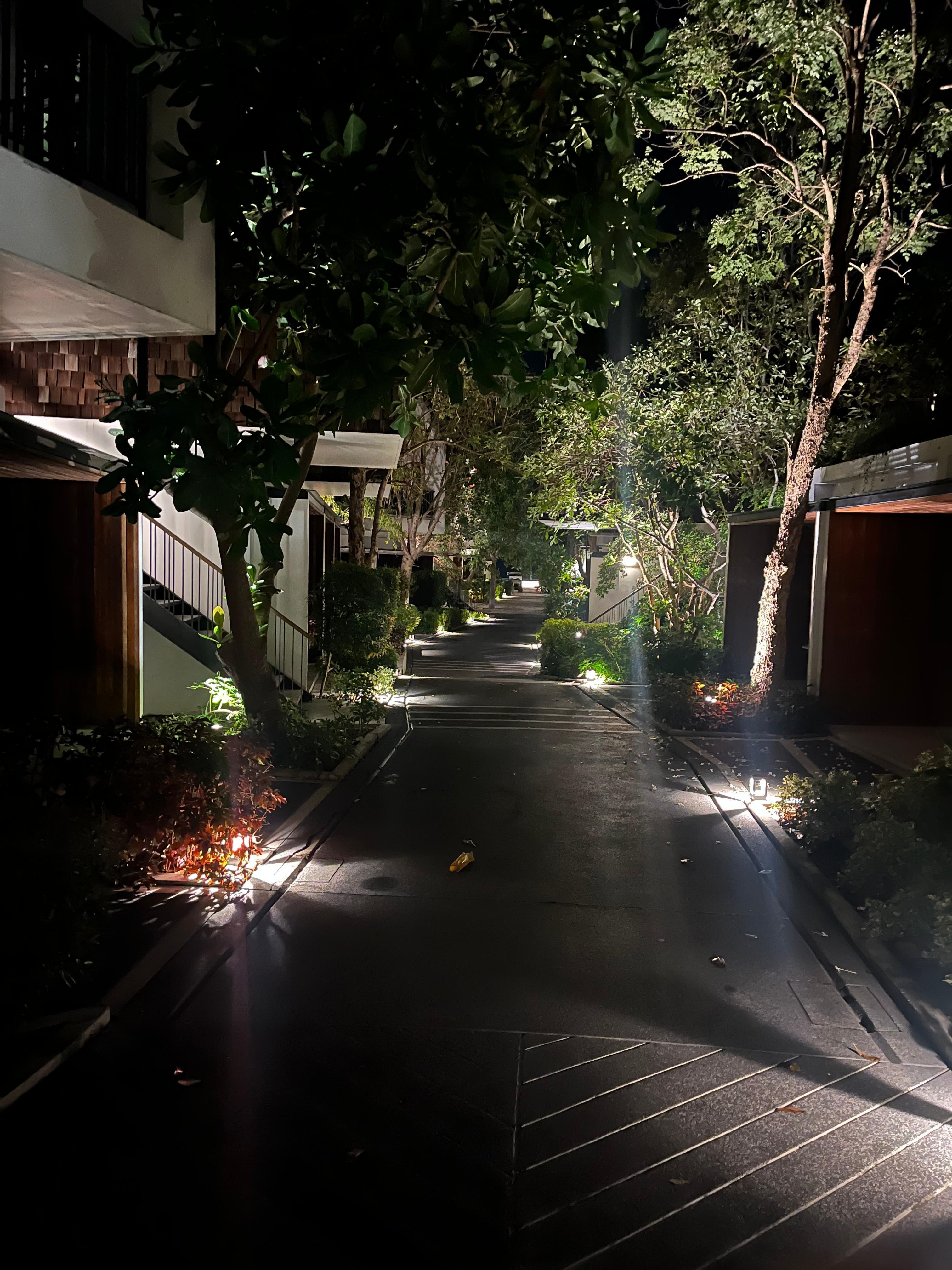 Tree line avenues through the resort