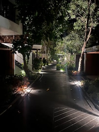 Tree line avenues through the resort