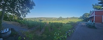 View with coffee in the morning from the deck!