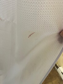 Again, dirty shower curtain.