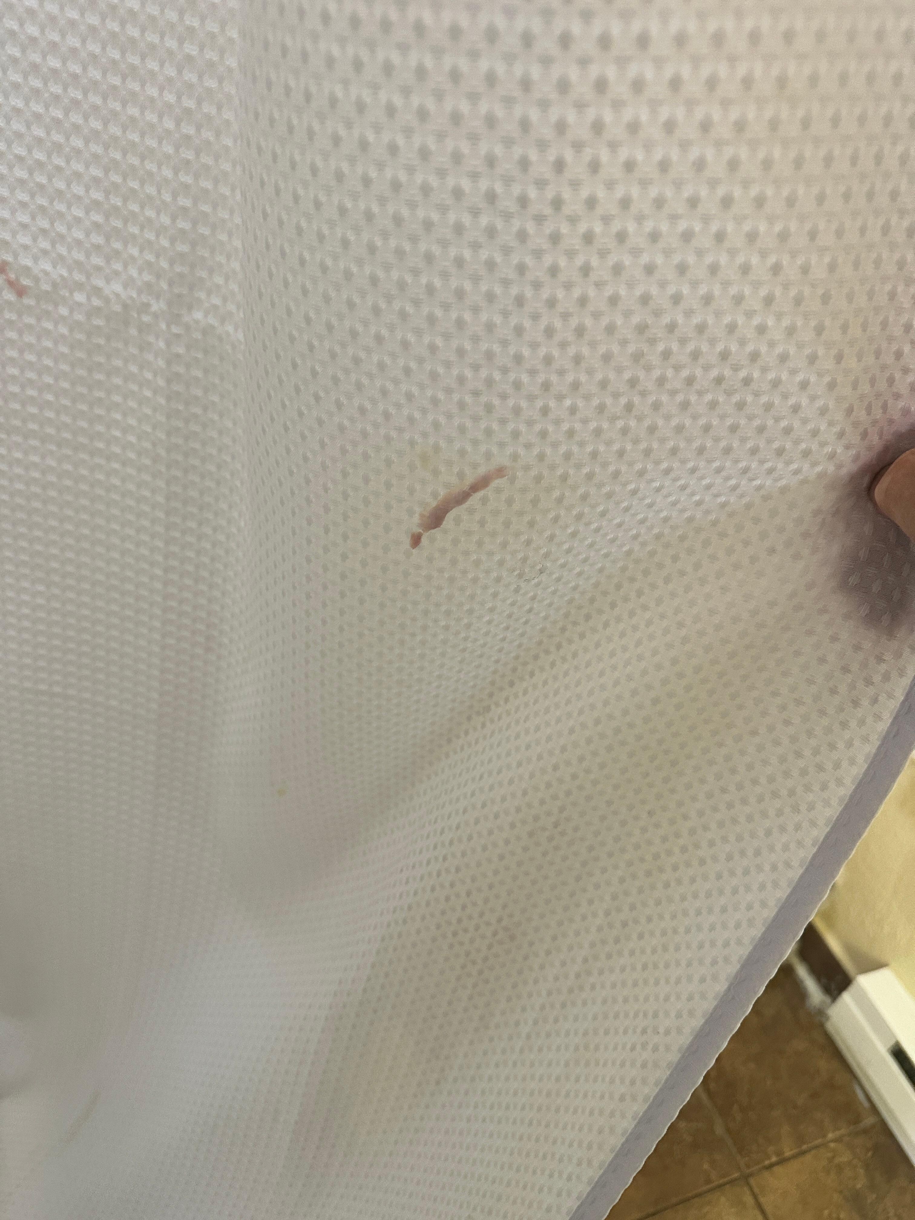 Again, dirty shower curtain.