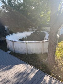 The pool