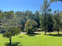 Pond view from Airbnb deck.