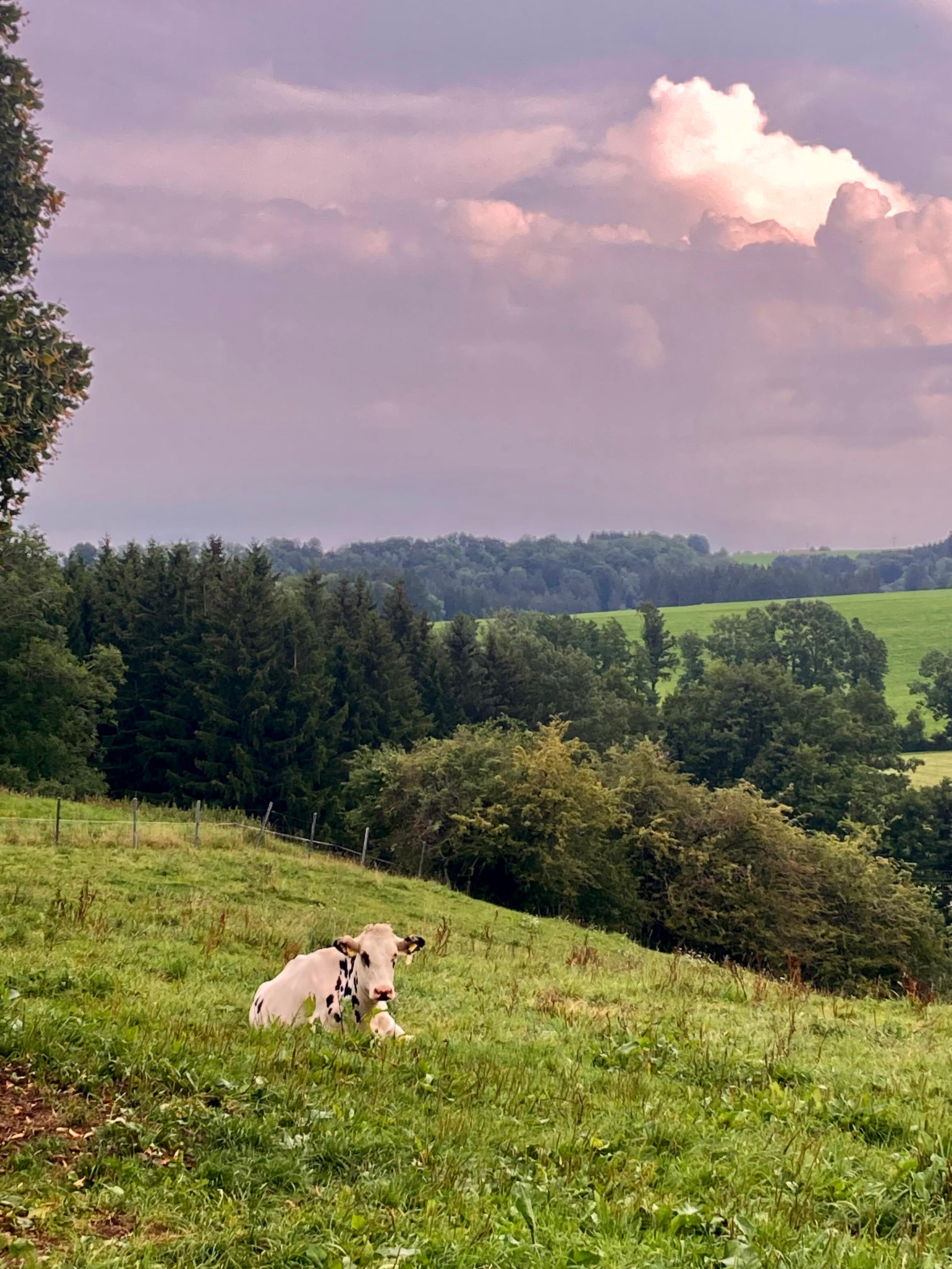 In der Nähe der Fewo