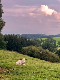 In der Nähe der Fewo