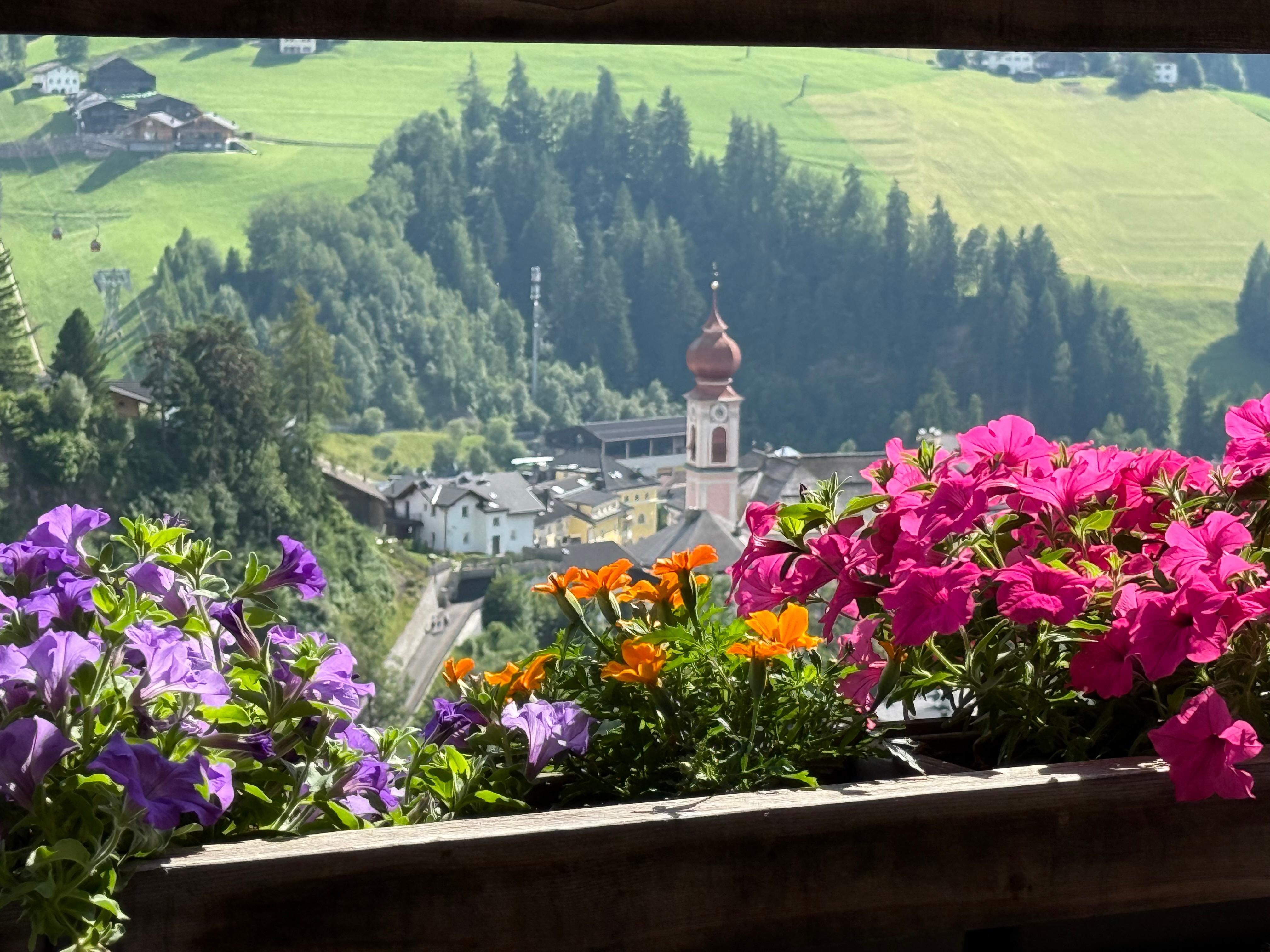 View from the porch.