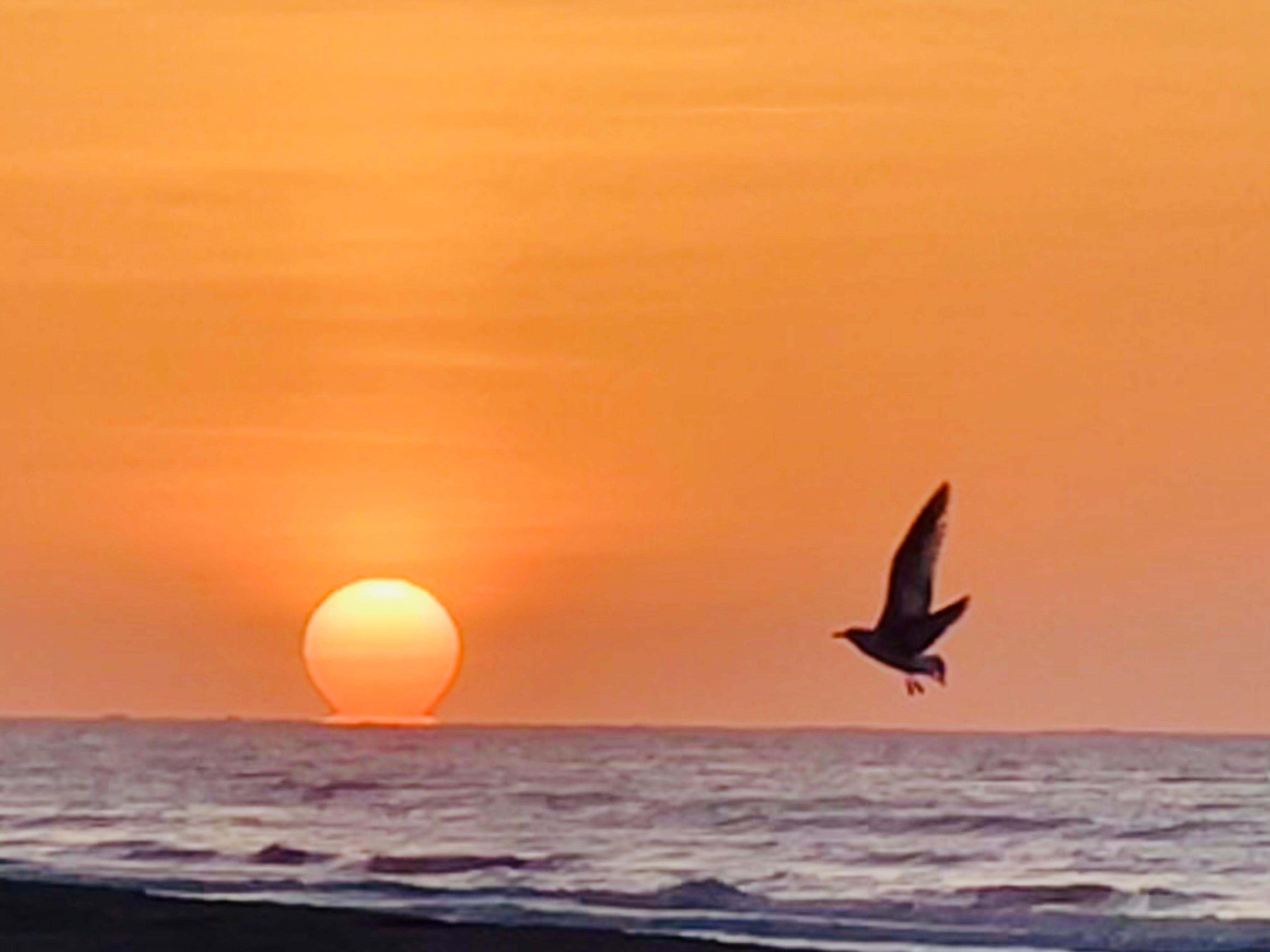 Sunrise from the pier