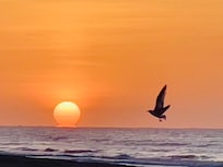 Sunrise from the pier