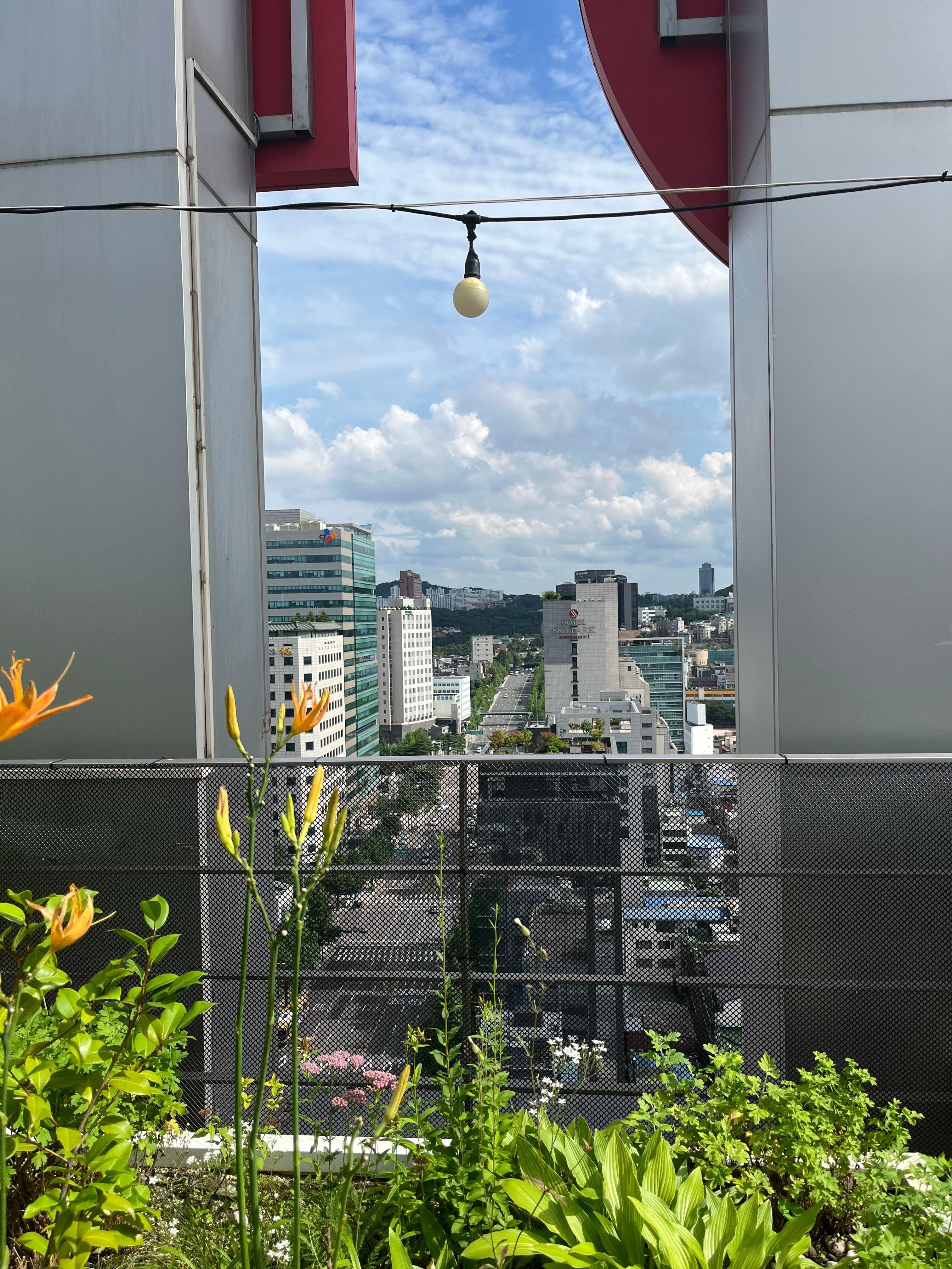 Rooftop terrace