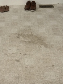Stained carpets
