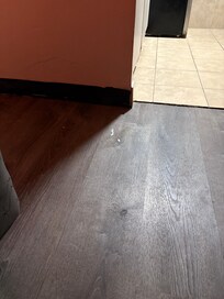Floors were not clean