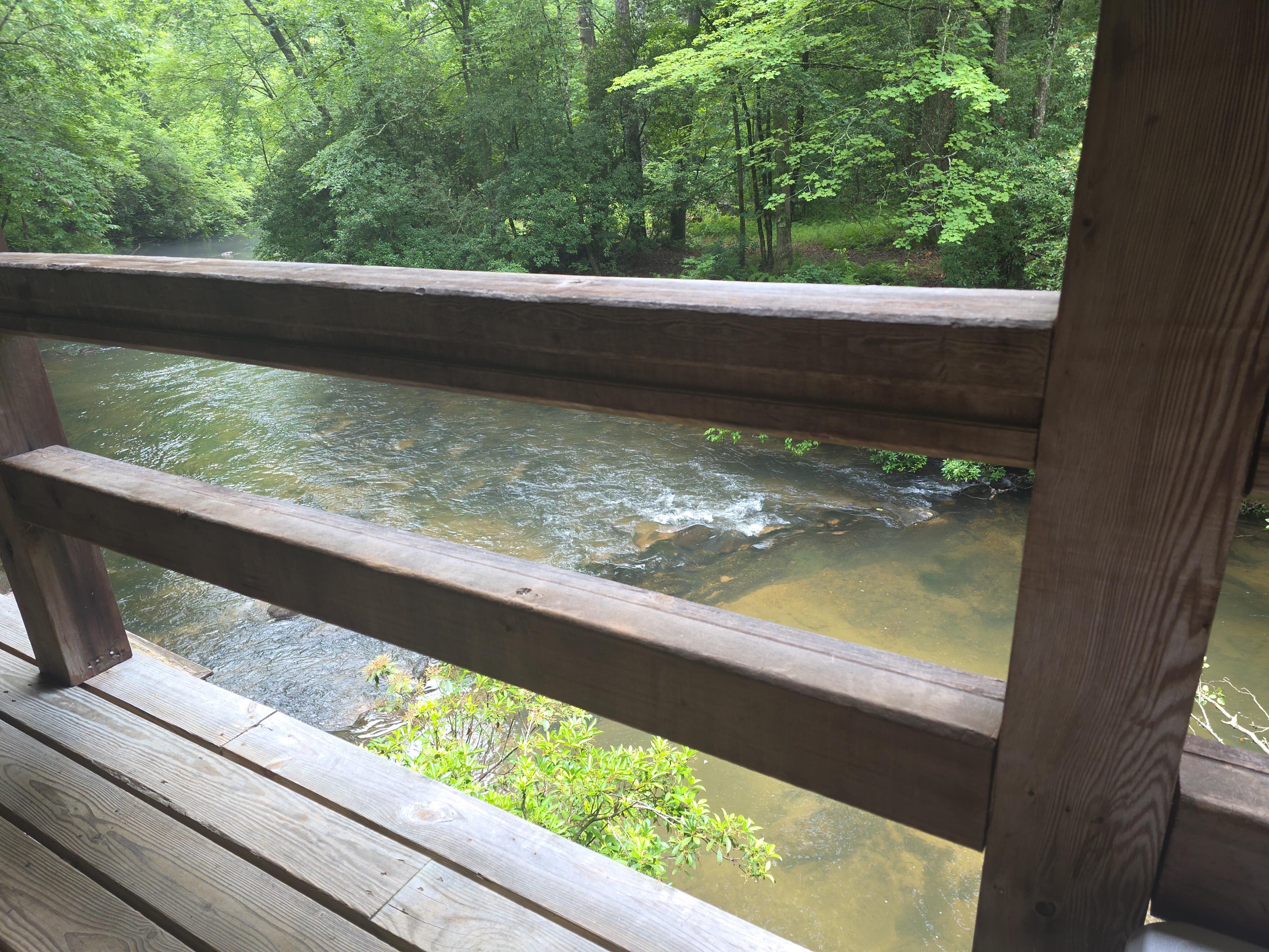 View from the porch swing.