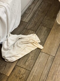 Towel used to wipe up toilet water