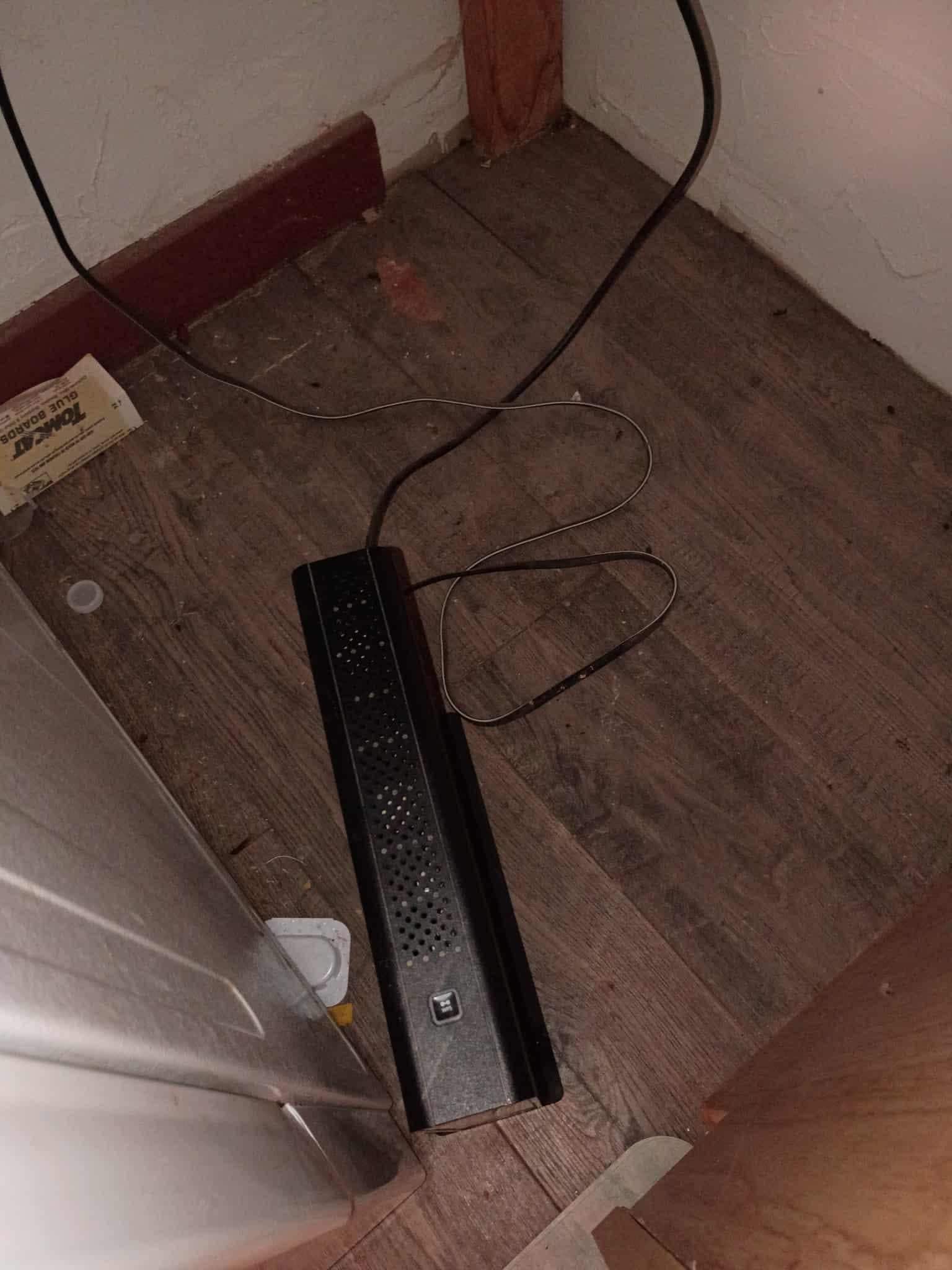 Bug traps in a corner of the kitchen sink